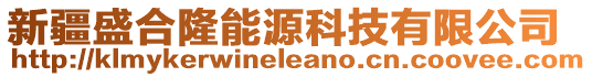 新疆盛合隆能源科技有限公司