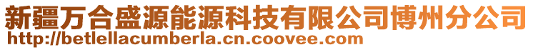 新疆萬合盛源能源科技有限公司博州分公司