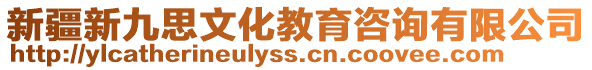 新疆新九思文化教育咨询有限公司