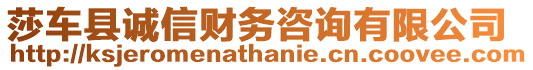 莎車縣誠(chéng)信財(cái)務(wù)咨詢有限公司