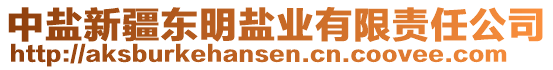 中鹽新疆東明鹽業(yè)有限責(zé)任公司