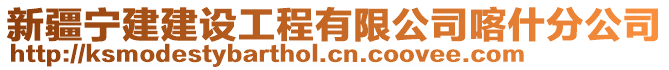 新疆寧建建設(shè)工程有限公司喀什分公司