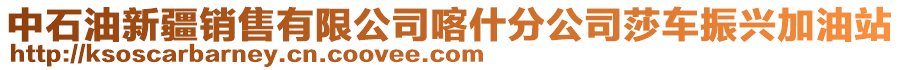 中石油新疆銷售有限公司喀什分公司莎車振興加油站