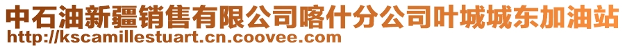 中石油新疆销售有限公司喀什分公司叶城城东加油站