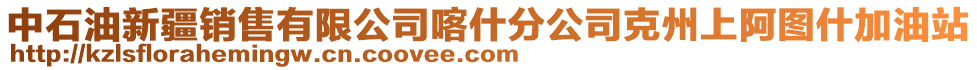 中石油新疆銷售有限公司喀什分公司克州上阿圖什加油站