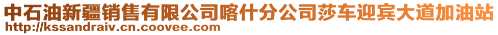 中石油新疆销售有限公司喀什分公司莎车迎宾大道加油站