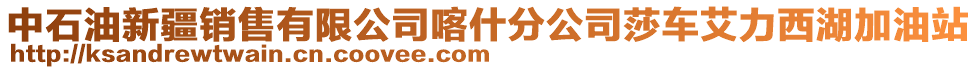 中石油新疆銷售有限公司喀什分公司莎車艾力西湖加油站