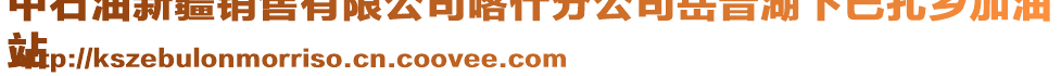 中石油新疆銷售有限公司喀什分公司岳普湖下巴扎鄉(xiāng)加油
站