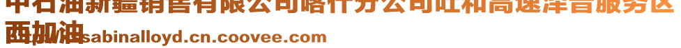 中石油新疆銷售有限公司喀什分公司吐和高速澤普服務(wù)區(qū)
西加油