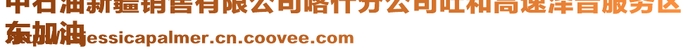 中石油新疆銷售有限公司喀什分公司吐和高速澤普服務(wù)區(qū)
東加油