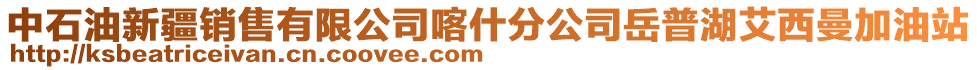 中石油新疆銷售有限公司喀什分公司岳普湖艾西曼加油站