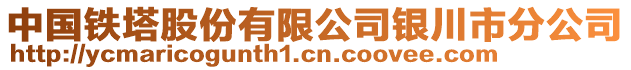 中國鐵塔股份有限公司銀川市分公司