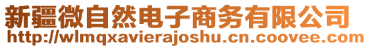 新疆微自然電子商務(wù)有限公司