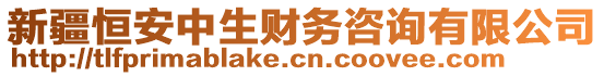 新疆恒安中生財務(wù)咨詢有限公司