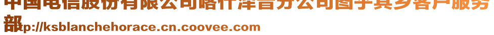 中國電信股份有限公司喀什澤普分公司圖乎其鄉(xiāng)客戶服務
部