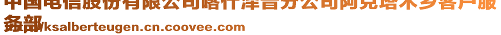 中國電信股份有限公司喀什澤普分公司阿克塔木鄉(xiāng)客戶服
務(wù)部