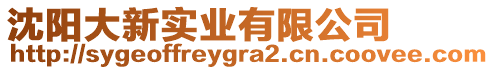 沈陽大新實業(yè)有限公司