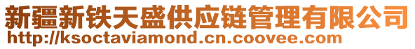 新疆新鐵天盛供應(yīng)鏈管理有限公司