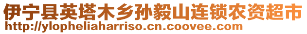 伊寧縣英塔木鄉(xiāng)孫毅山連鎖農(nóng)資超市