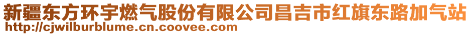 新疆東方環(huán)宇燃?xì)夤煞萦邢薰静屑t旗東路加氣站