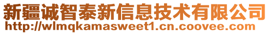 新疆誠智泰新信息技術有限公司