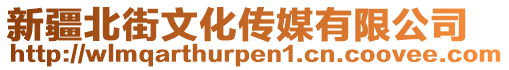 新疆北街文化傳媒有限公司