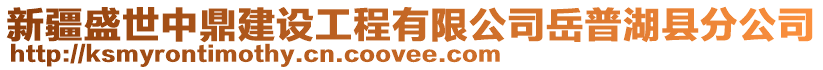 新疆盛世中鼎建設(shè)工程有限公司岳普湖縣分公司