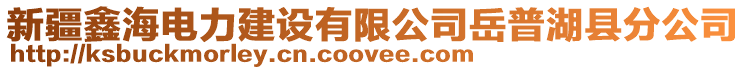 新疆鑫海電力建設(shè)有限公司岳普湖縣分公司