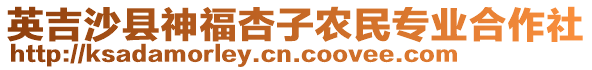 英吉沙縣神福杏子農民專業(yè)合作社