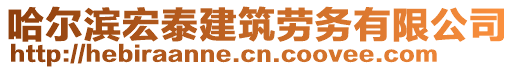 哈爾濱宏泰建筑勞務(wù)有限公司