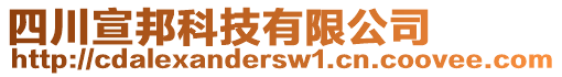 四川宣邦科技有限公司