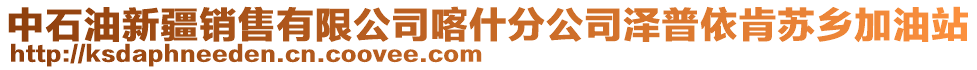 中石油新疆銷售有限公司喀什分公司澤普依肯蘇鄉(xiāng)加油站