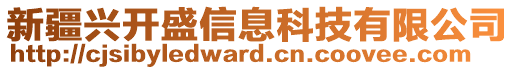 新疆興開(kāi)盛信息科技有限公司