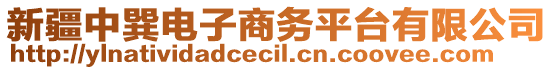 新疆中巽電子商務(wù)平臺(tái)有限公司