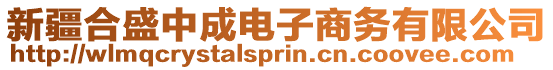 新疆合盛中成電子商務有限公司