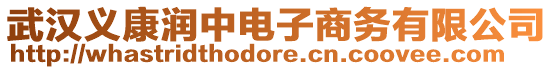 武漢義康潤中電子商務有限公司