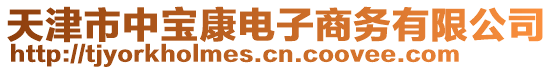 天津市中寶康電子商務(wù)有限公司