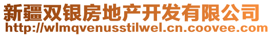 新疆雙銀房地產(chǎn)開發(fā)有限公司