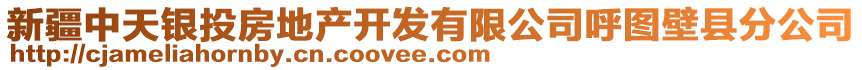 新疆中天銀投房地產(chǎn)開發(fā)有限公司呼圖壁縣分公司