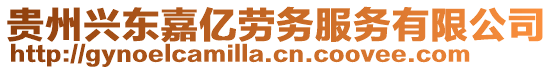 贵州兴东嘉亿劳务服务有限公司