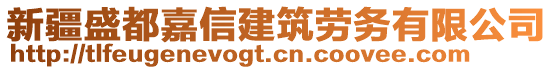 新疆盛都嘉信建筑勞務(wù)有限公司