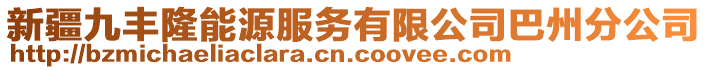 新疆九豐隆能源服務(wù)有限公司巴州分公司