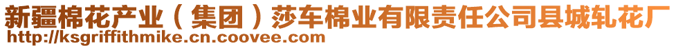 新疆棉花產(chǎn)業(yè)（集團）莎車棉業(yè)有限責任公司縣城軋花廠