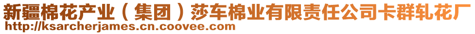 新疆棉花產(chǎn)業(yè)（集團）莎車棉業(yè)有限責任公司卡群軋花廠