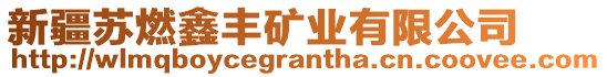 新疆蘇燃鑫豐礦業(yè)有限公司