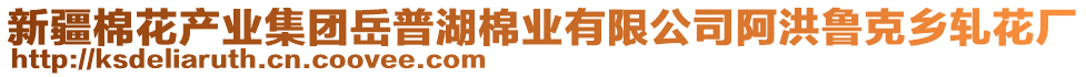 新疆棉花產(chǎn)業(yè)集團(tuán)岳普湖棉業(yè)有限公司阿洪魯克鄉(xiāng)軋花廠