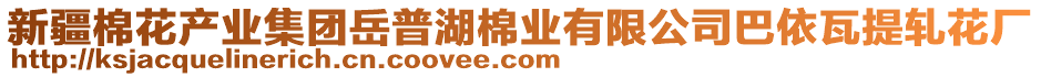 新疆棉花產(chǎn)業(yè)集團岳普湖棉業(yè)有限公司巴依瓦提軋花廠