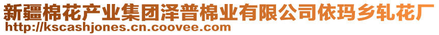 新疆棉花產業(yè)集團澤普棉業(yè)有限公司依瑪鄉(xiāng)軋花廠