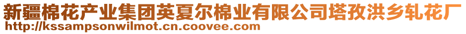 新疆棉花產(chǎn)業(yè)集團(tuán)英夏爾棉業(yè)有限公司塔孜洪鄉(xiāng)軋花廠