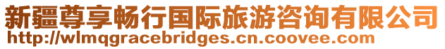 新疆尊享暢行國際旅游咨詢有限公司
